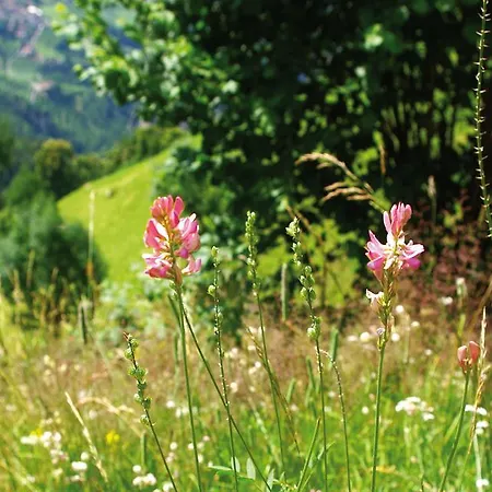 Loser's Gasthof 3* Olbernhau